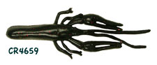 Craws